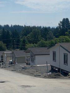 A row of beautiful new mobile homes on a tree-lined street.