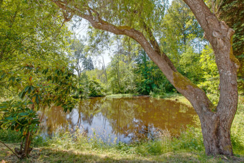 Country Club Estates Pond